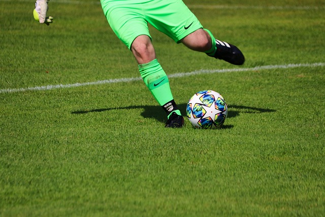 他与各种东 他与各种东