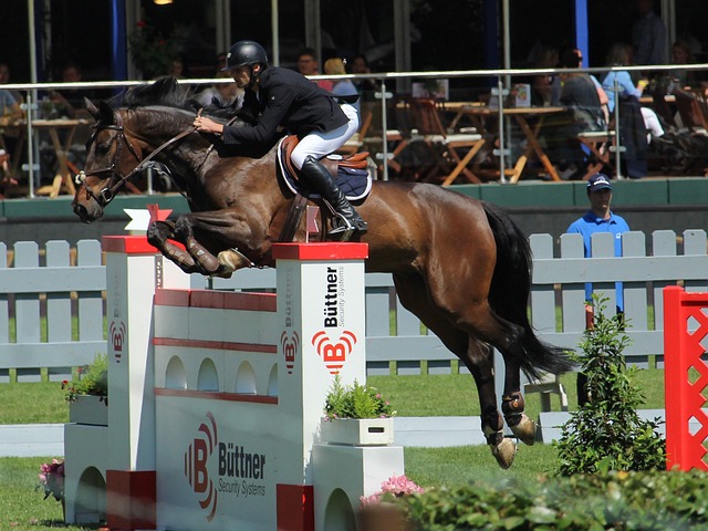 的出色发挥 的出色发挥