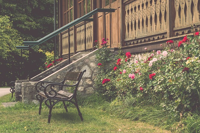 心理素质的 心理素质的